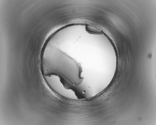 X0000093381045200711011246