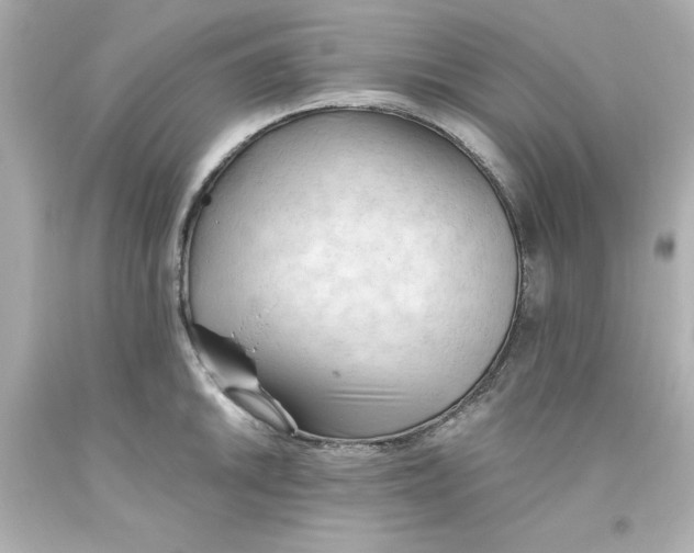 X0000093381046200711011246