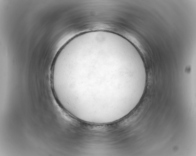 X0000093381047200711011246