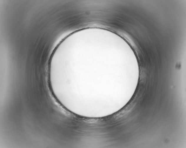 X0000093381048200711011246