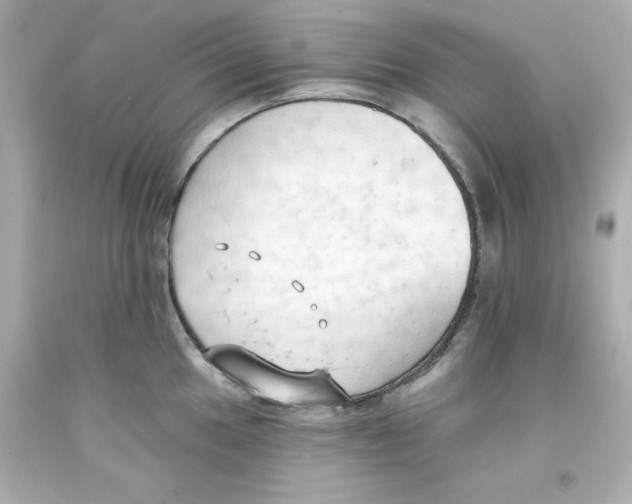 X0000093381049200711011246