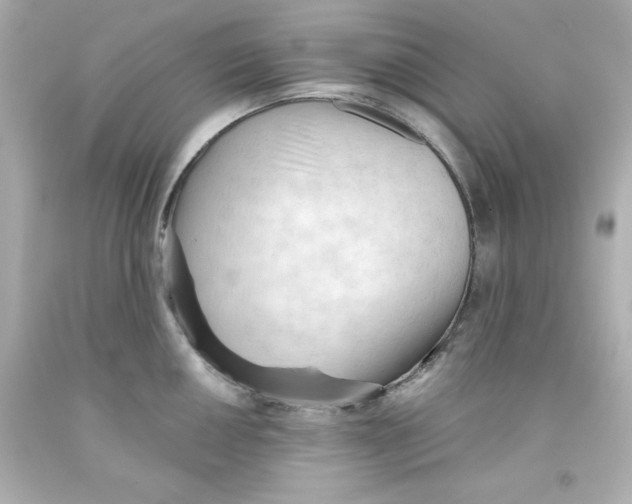 X0000093381050200711011246