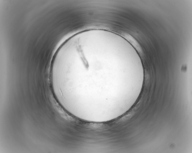 X0000093381052200711011246