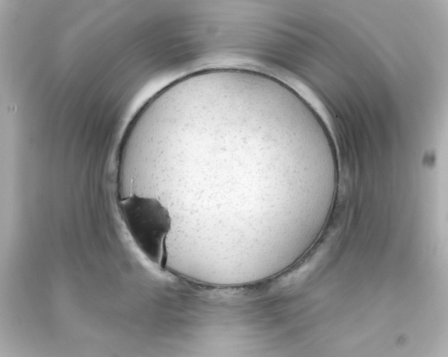 X0000093381053200711011246