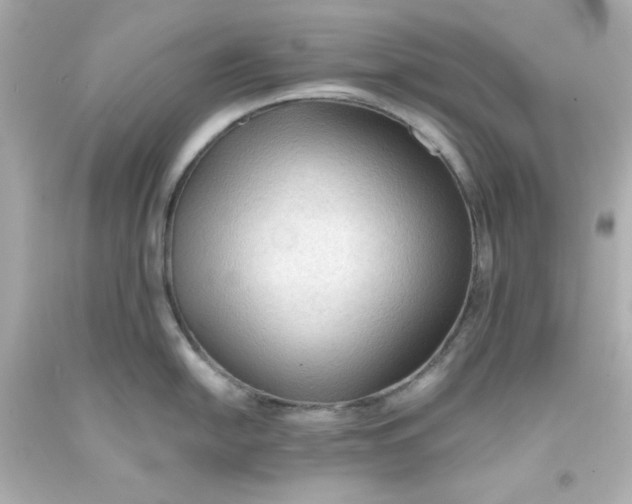 X0000093381054200711011246