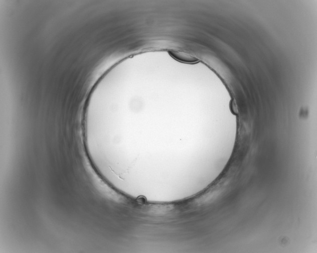 X0000093381055200711011246