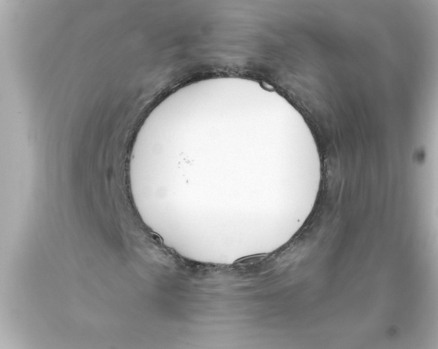 X0000093381057200711011245