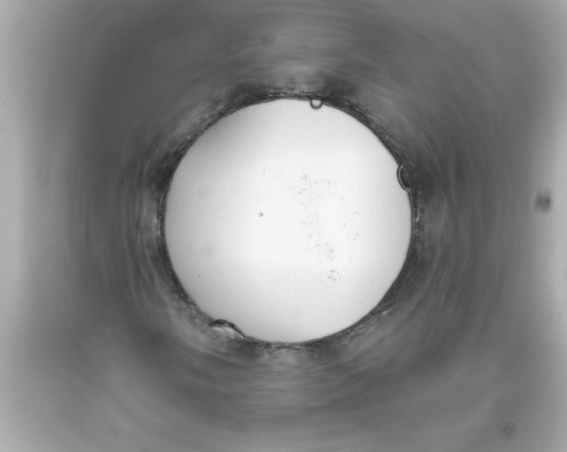 X0000093381058200711011245