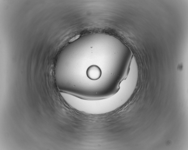 X0000093381059200711011245