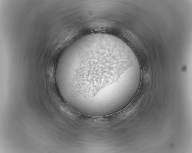 X0000093381060200711011245
