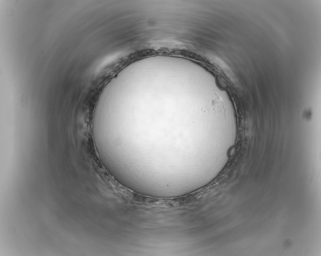 X0000093381063200711011245