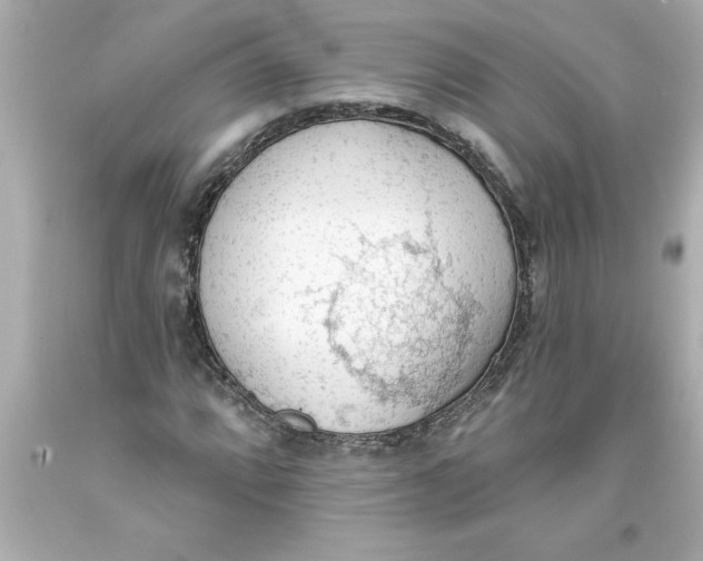 X0000093381064200711011245