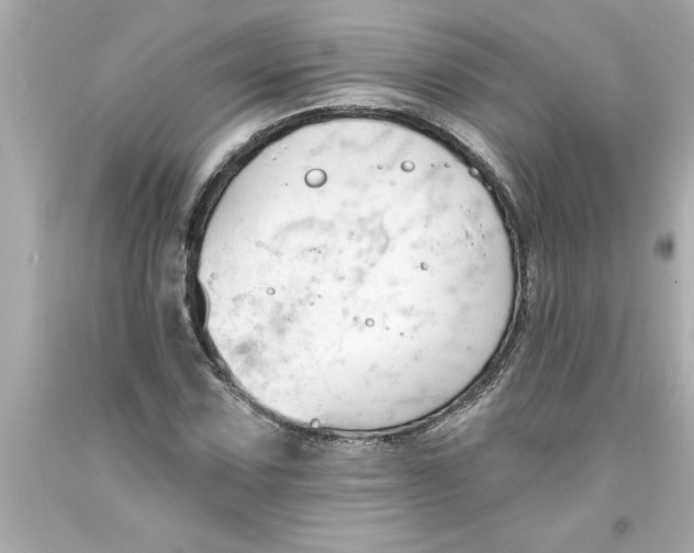 X0000093381067200711011245