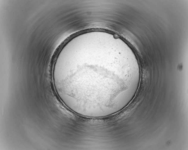 X0000093381068200711011245