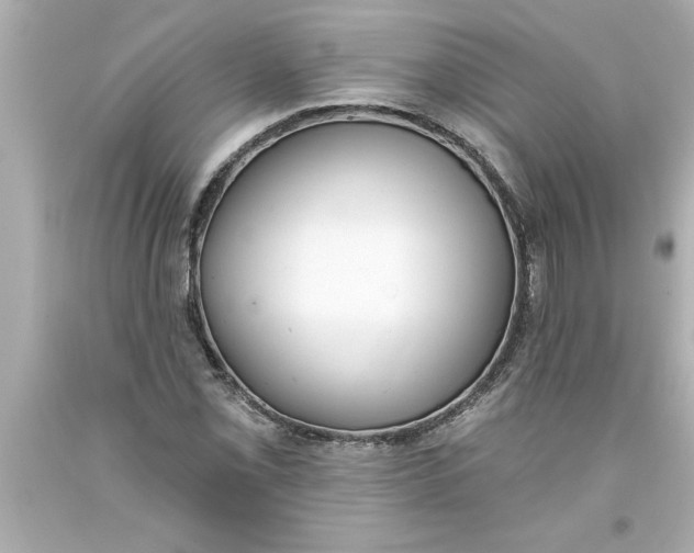 X0000093381069200711011245