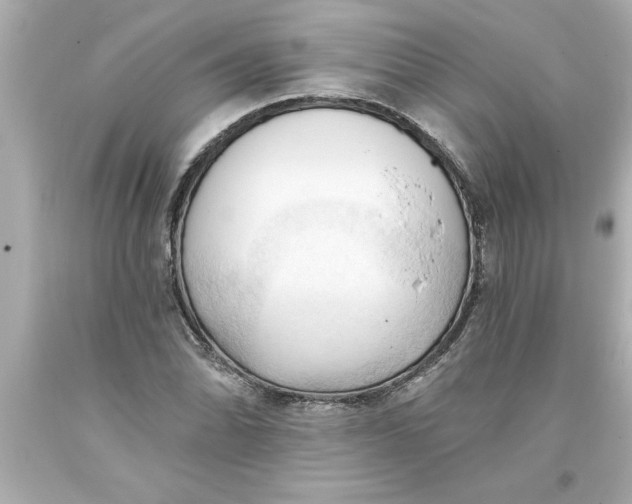 X0000093381070200711011245