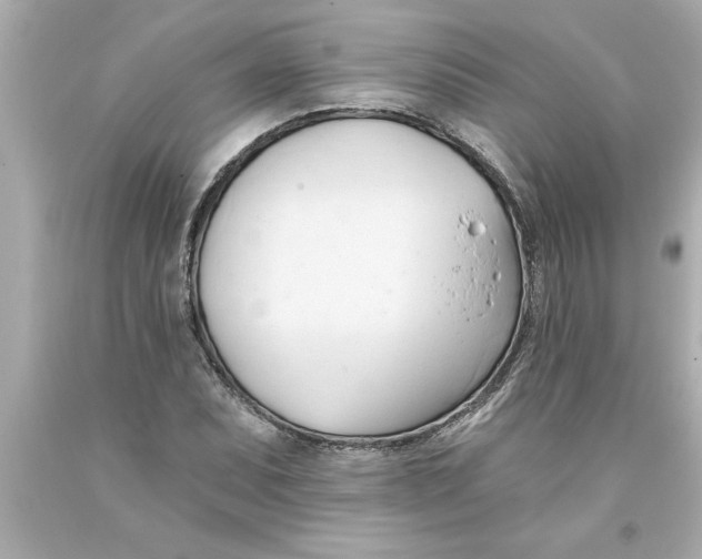 X0000093381071200711011245