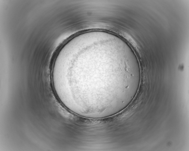 X0000093381072200711011245