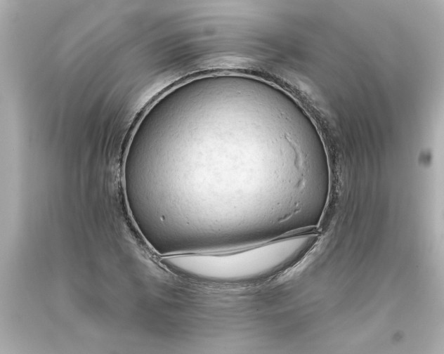 X0000093381073200711011245