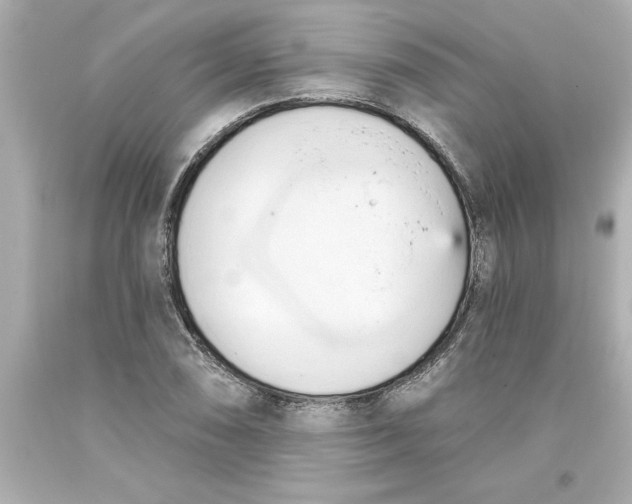 X0000093381074200711011245