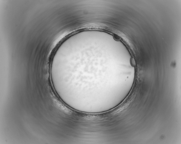 X0000093381075200711011245