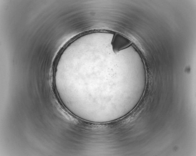 X0000093381076200711011245