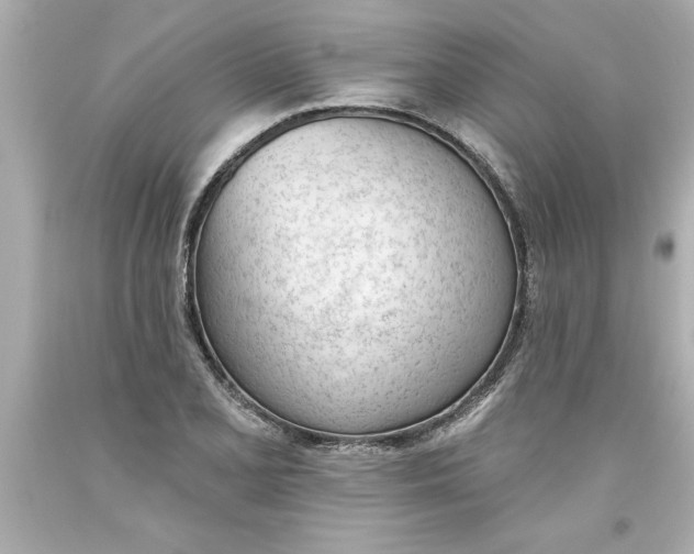 X0000093381077200711011245