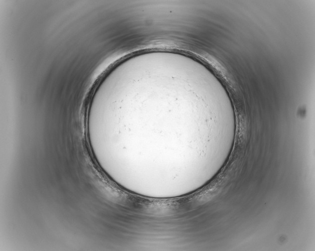 X0000093381078200711011245