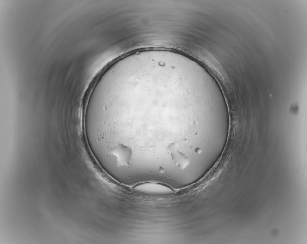 X0000093381079200711011245