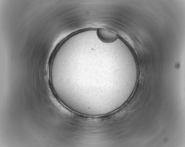 X0000093381080200711011245