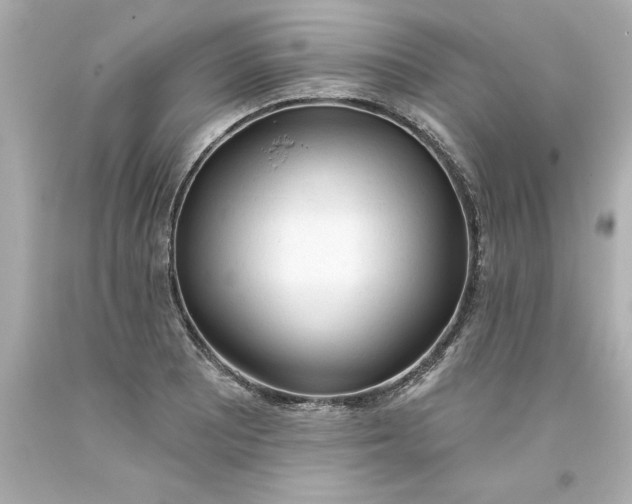 X0000093381081200711011245