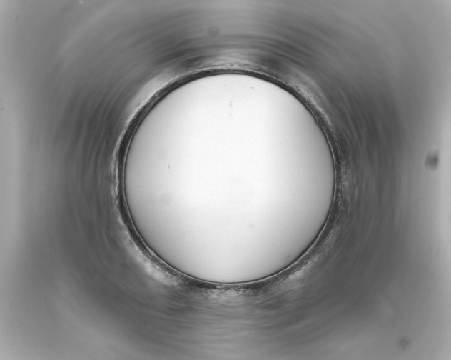 X0000093381082200711011245