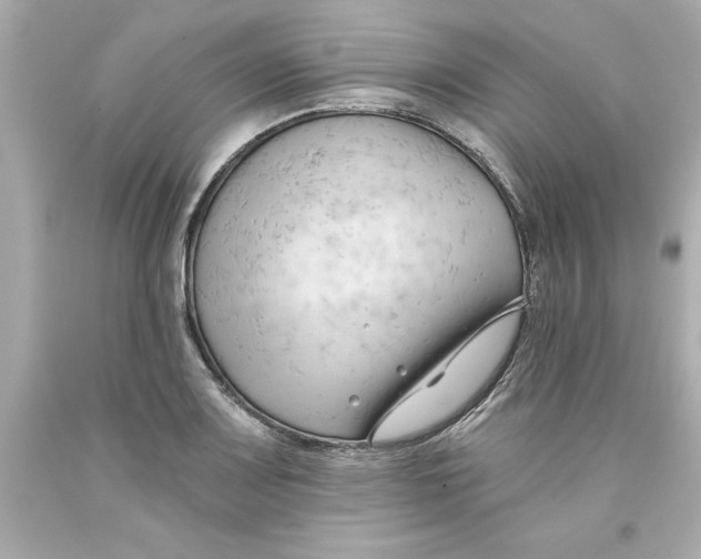 X0000093381083200711011245