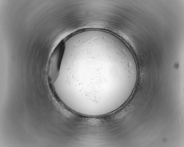 X0000093381085200711011245