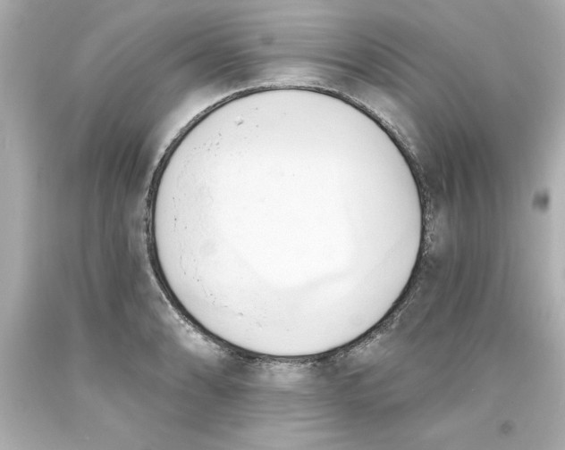 X0000093381086200711011245