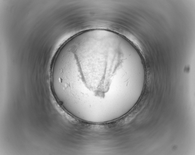 X0000093381088200711011245