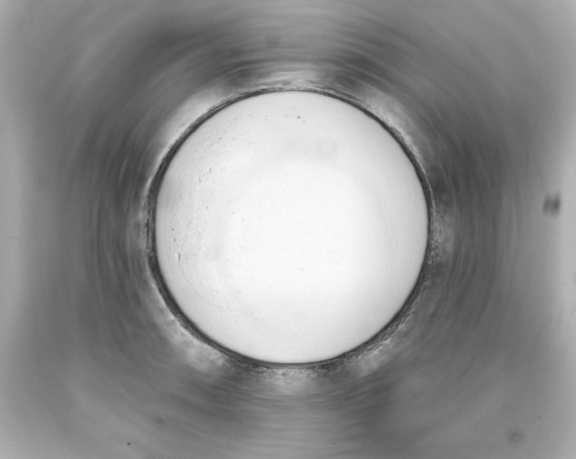 X0000093381090200711011244