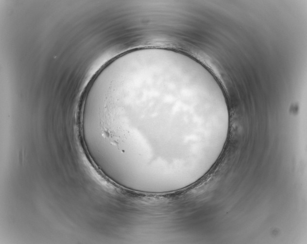 X0000093381091200711011244