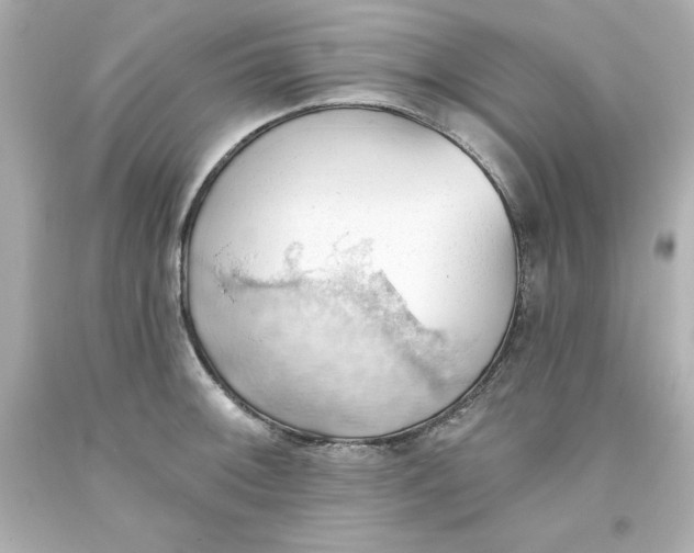 X0000093381092200711011244