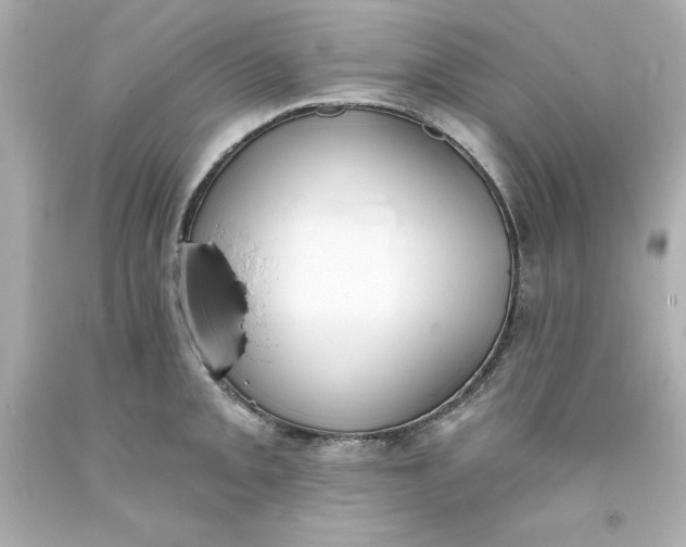 X0000093381093200711011244