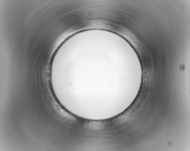 X0000093381094200711011244