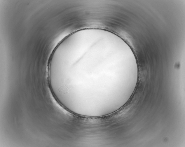 X0000093381095200711011244