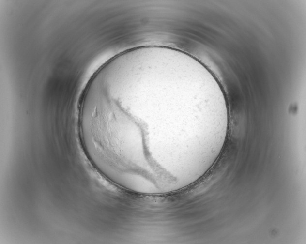 X0000093381096200711011244