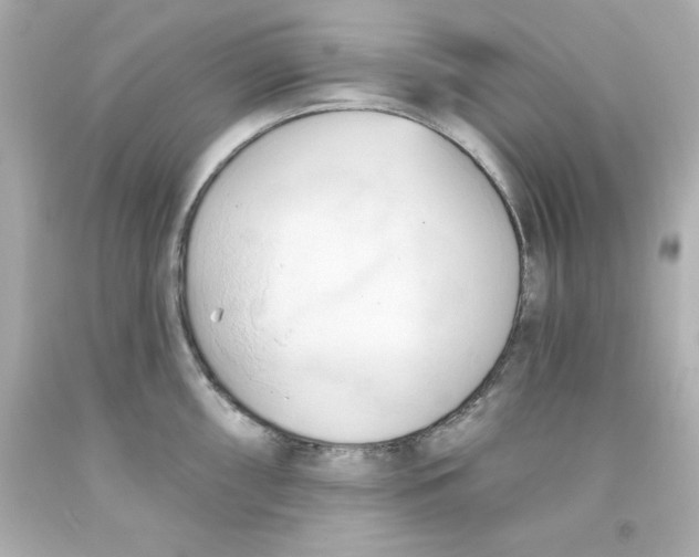 X0000093381098200711011244