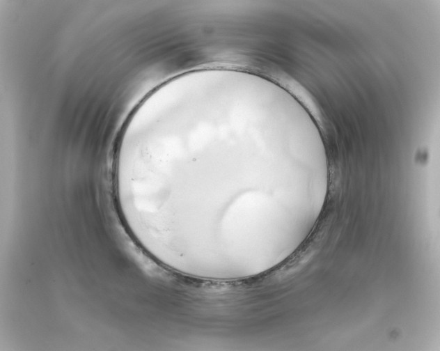 X0000093381099200711011244