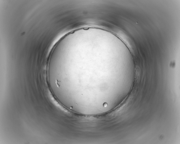 X0000093381100200711011244