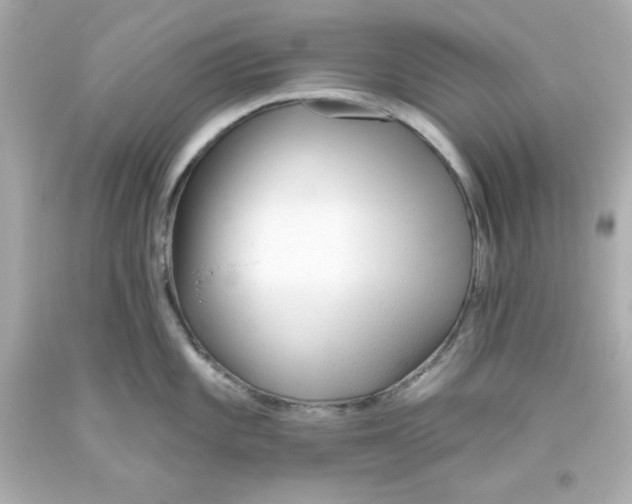 X0000093381101200711011244