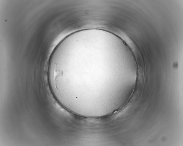 X0000093381102200711011244