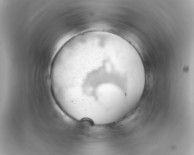 X0000093381103200711011244