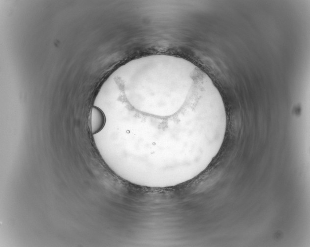 X0000093381105200711011244